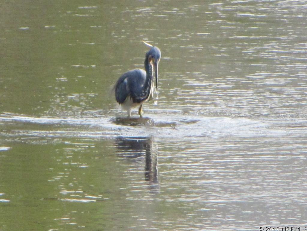 Tymber Trace Ph 11 - Residential