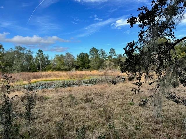 201 LAKE MOLLY AVENUE