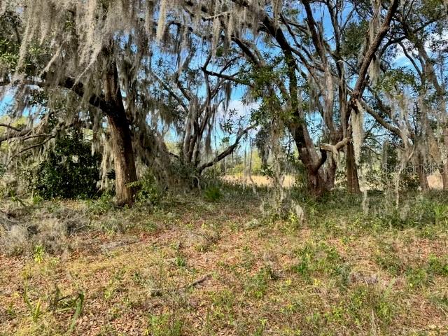 201 LAKE MOLLY AVENUE