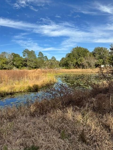 201 LAKE MOLLY AVENUE