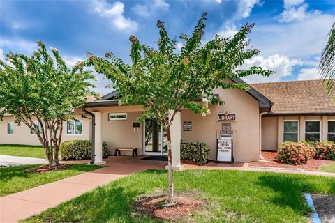 A home in SUN CITY CENTER