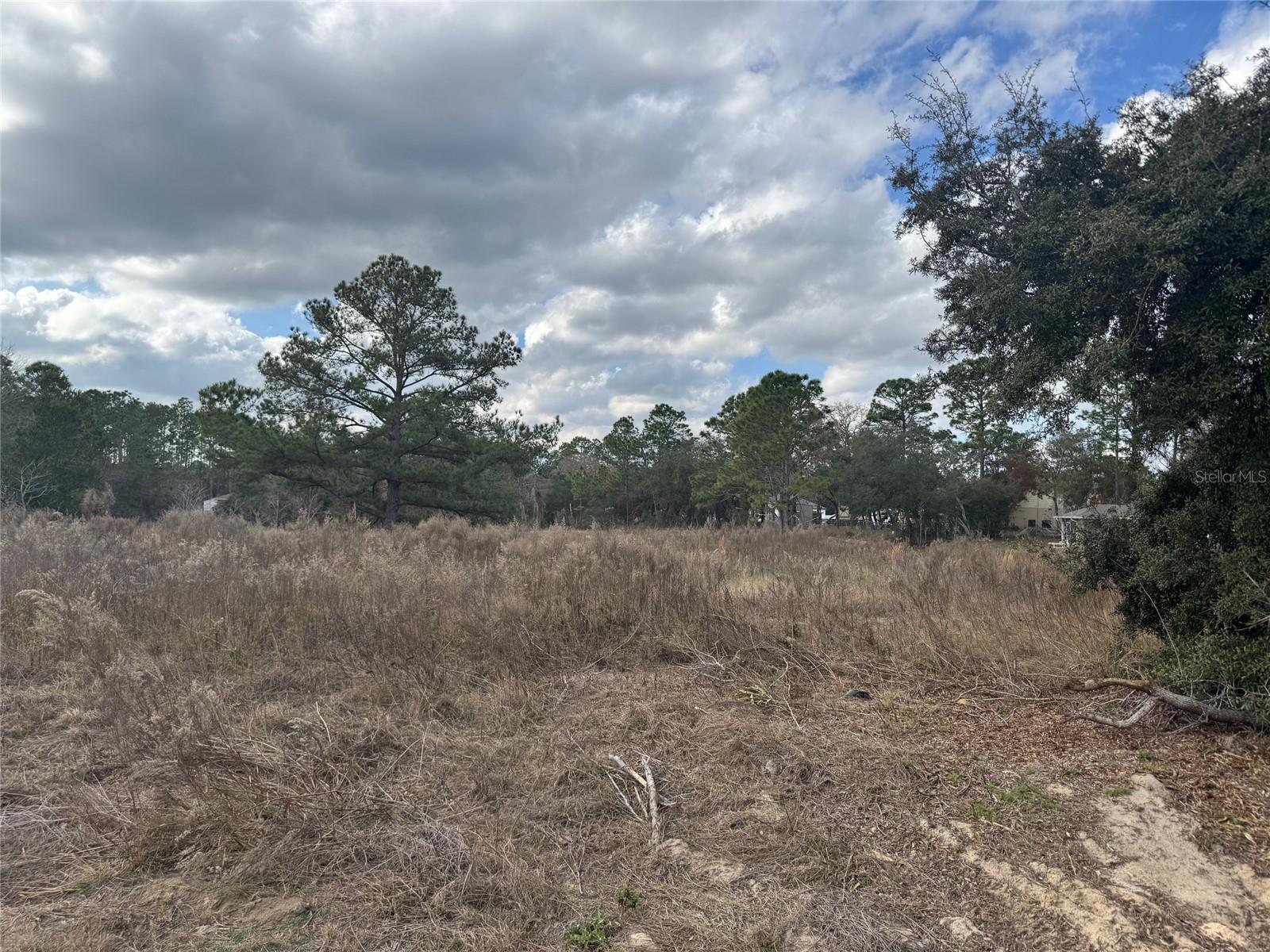 000352 - CITRUS SPRINGS UNIT 09 - Land