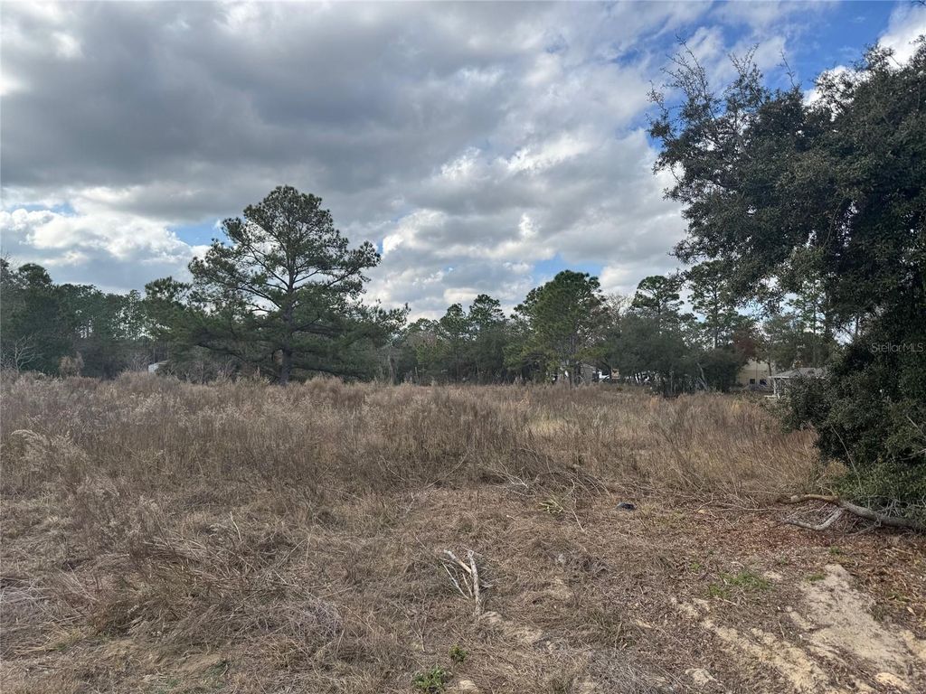 Photo of 7514 N Voyager Drive, Citrus Springs, FL 34433 (MLS # OM716102)