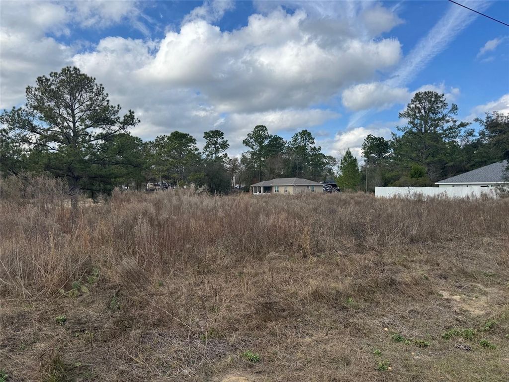 Photo of 7514 N Voyager Drive, Citrus Springs, FL 34433 (MLS # OM716102)