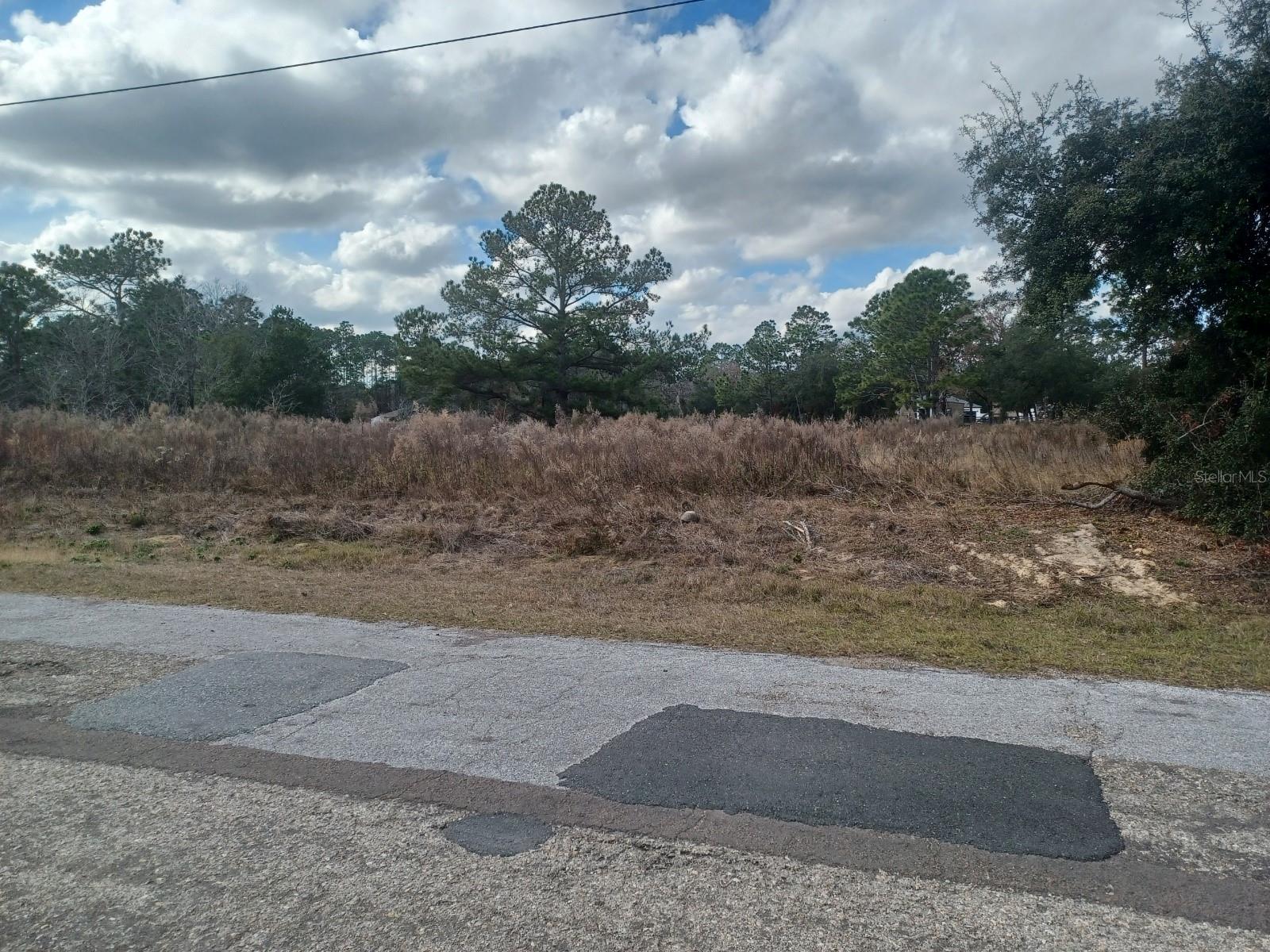 000352 - CITRUS SPRINGS UNIT 09 - Land