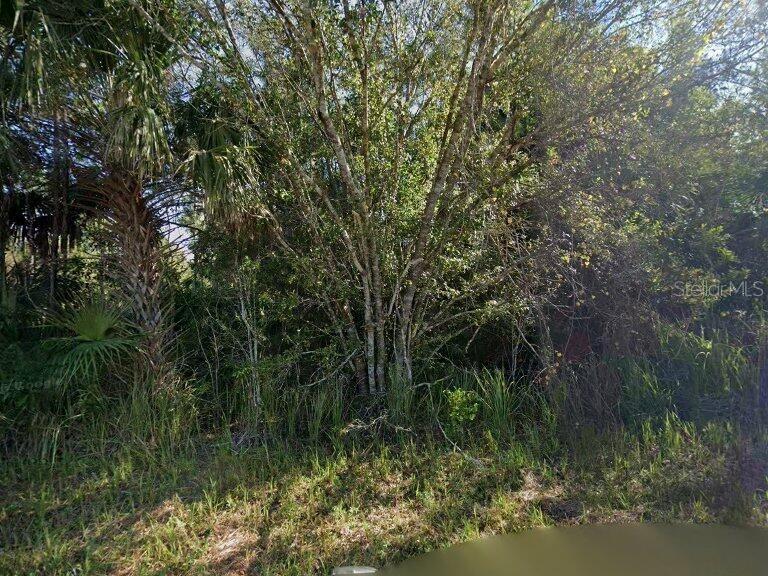 Photo of 6006 Terry Avenue N, Lehigh Acres, FL 33971 (MLS # C7531964)