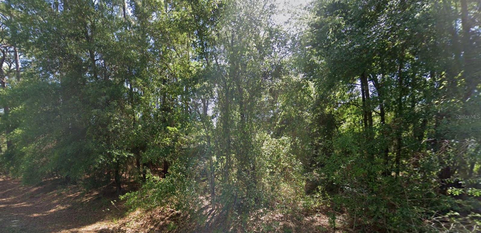 lot 84 SE 99TH AVENUE