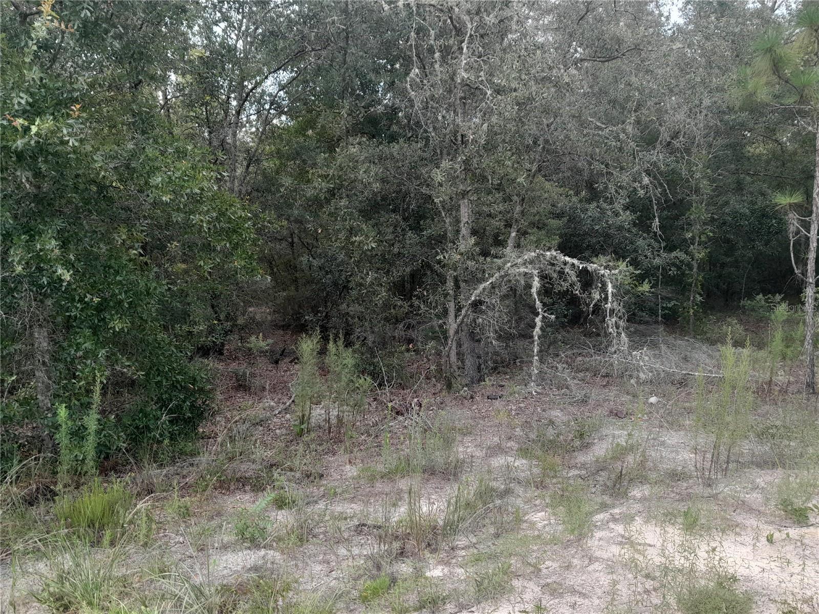 UNIVERSITY ESTATES - Land