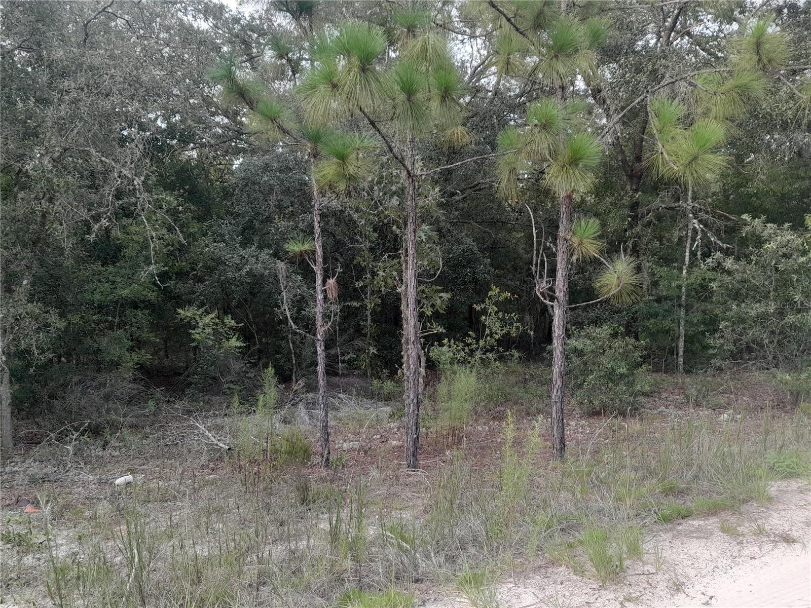 UNIVERSITY ESTATES - Land