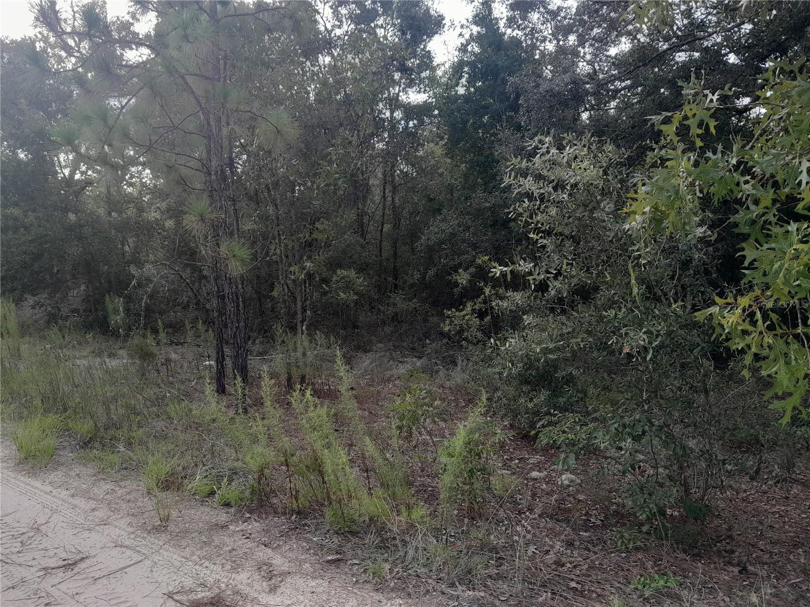 UNIVERSITY ESTATES - Land