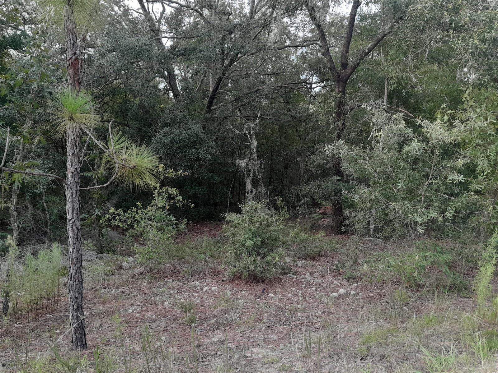 UNIVERSITY ESTATES - Land