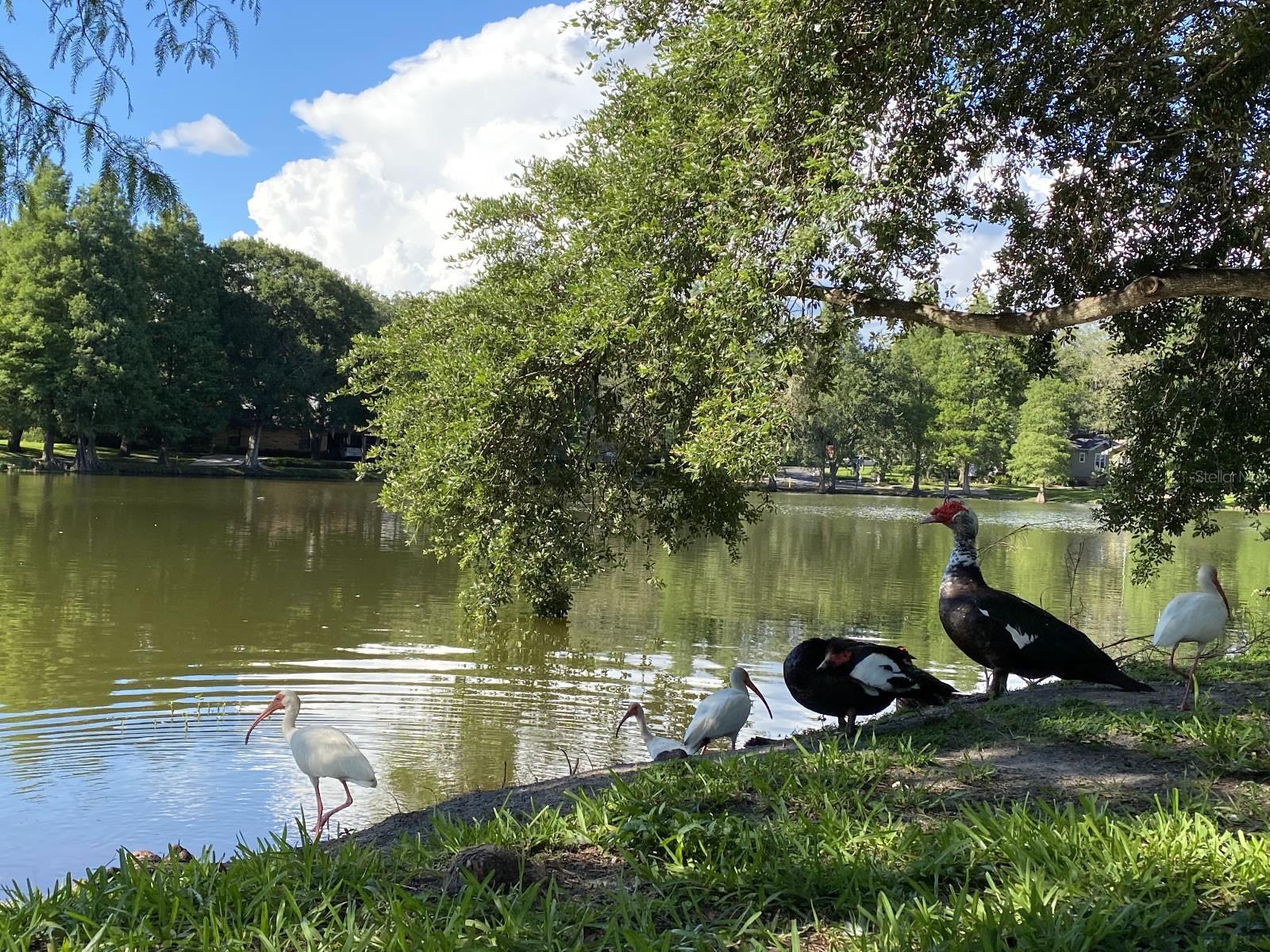 POWHATAN HEIGHTS - Residential