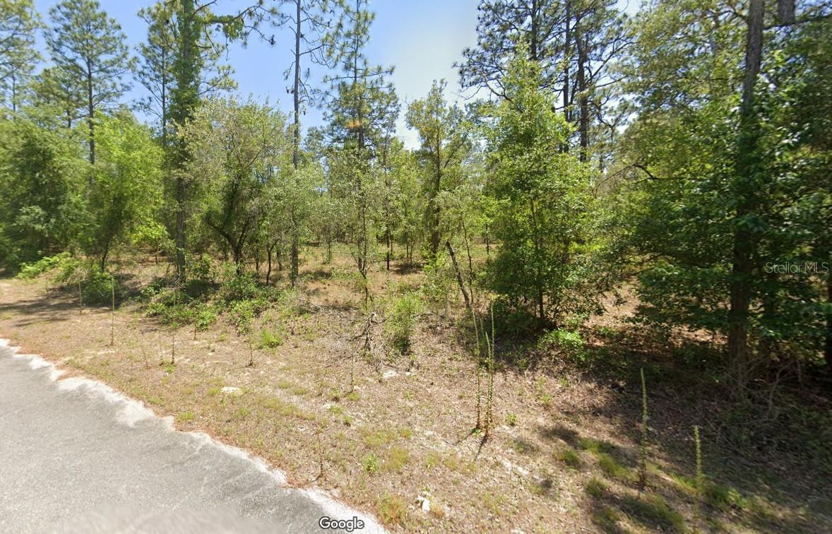 Great opportunity! 0.24 acre in an excellent location. Includes residential building permits to build your dream home . Easy to clean.
29.19118100 / -82.52388900