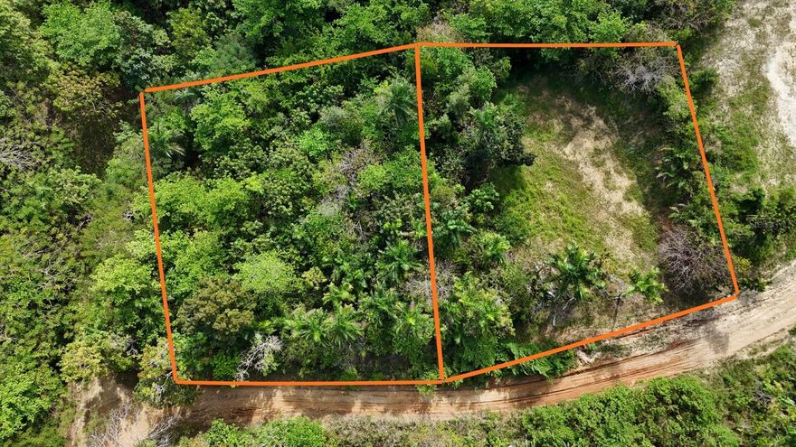 Two adjoining lots in the highly desirable Puntas area of Rincón are being offered together as one exceptional investment opportunity. Lot 1 consists of 1,065.26 square meters and Lot 2 offers 1,007.14 square meters, for a combined total of over 2,000 square meters of prime land. Located on a private street and featuring a partial ocean view, this property provides both tranquility and strong future potential. Each lot is already segregated, with its own deed and cadastral number, giving you the flexibility to build on both, keep one and sell the other, or develop strategically. An ideal opportunity to invest in one of Rincon’s most sought-after coastal communities.