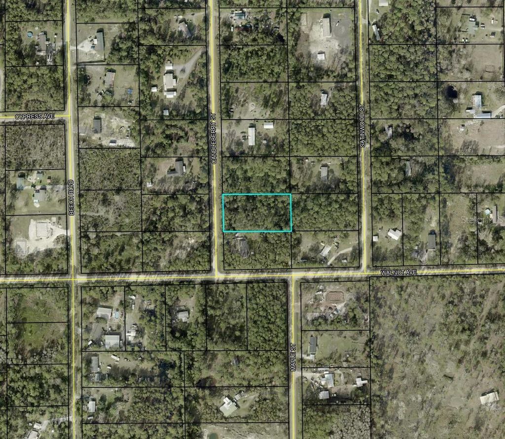 Photo of 1935 Candleberry Street, Bunnell, FL 32110 (MLS # TB8455294)