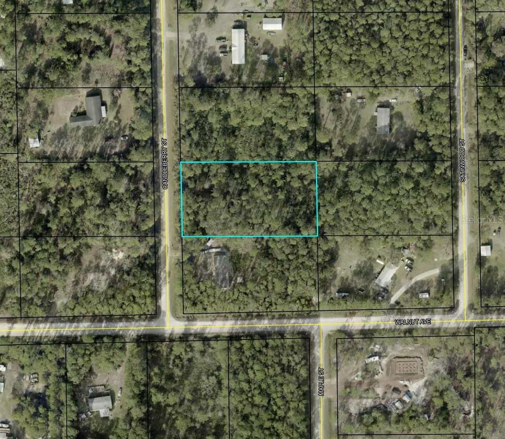 Photo of 1935 Candleberry Street, Bunnell, FL 32110 (MLS # TB8455294)