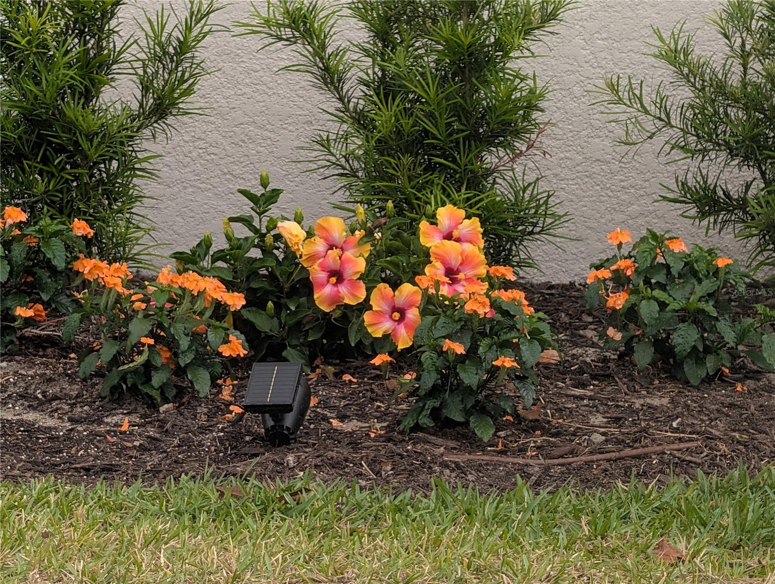 RESERVE/VICTORIA-PH 1 - Residential