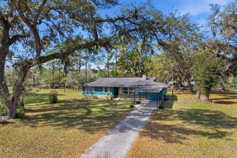 Photo of 234 S Ricky Terrace, Inverness, FL 34450 (MLS # A4686259)