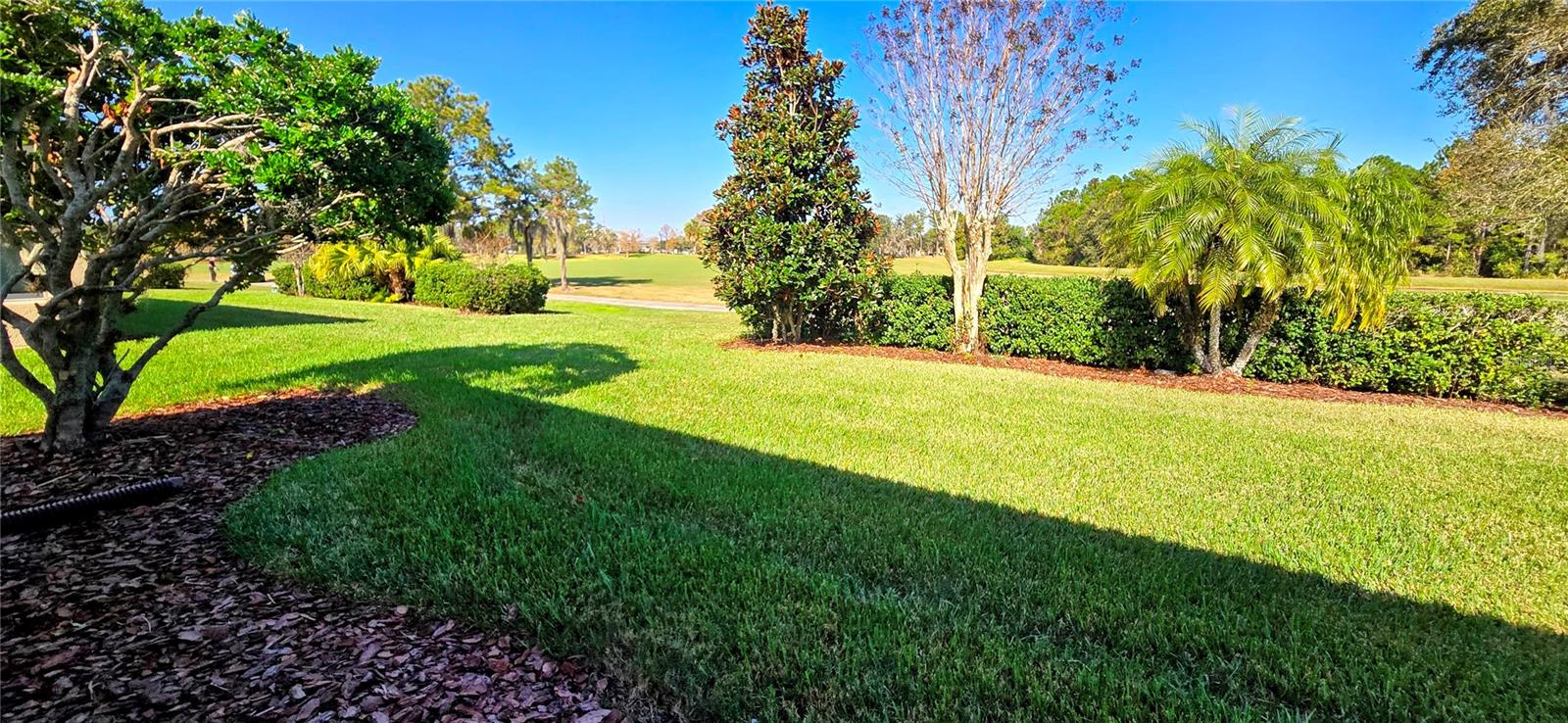 SOLIVITA PH 01D - Residential Lease