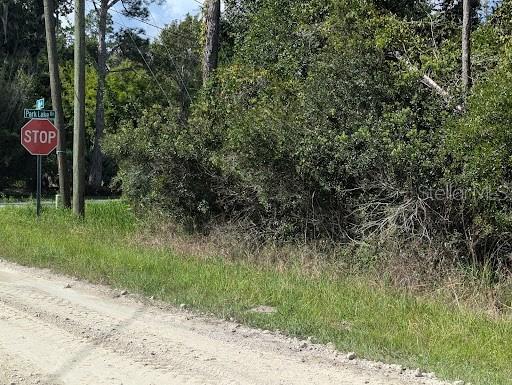 DAYTONA PARK ESTATES SEC C - Land