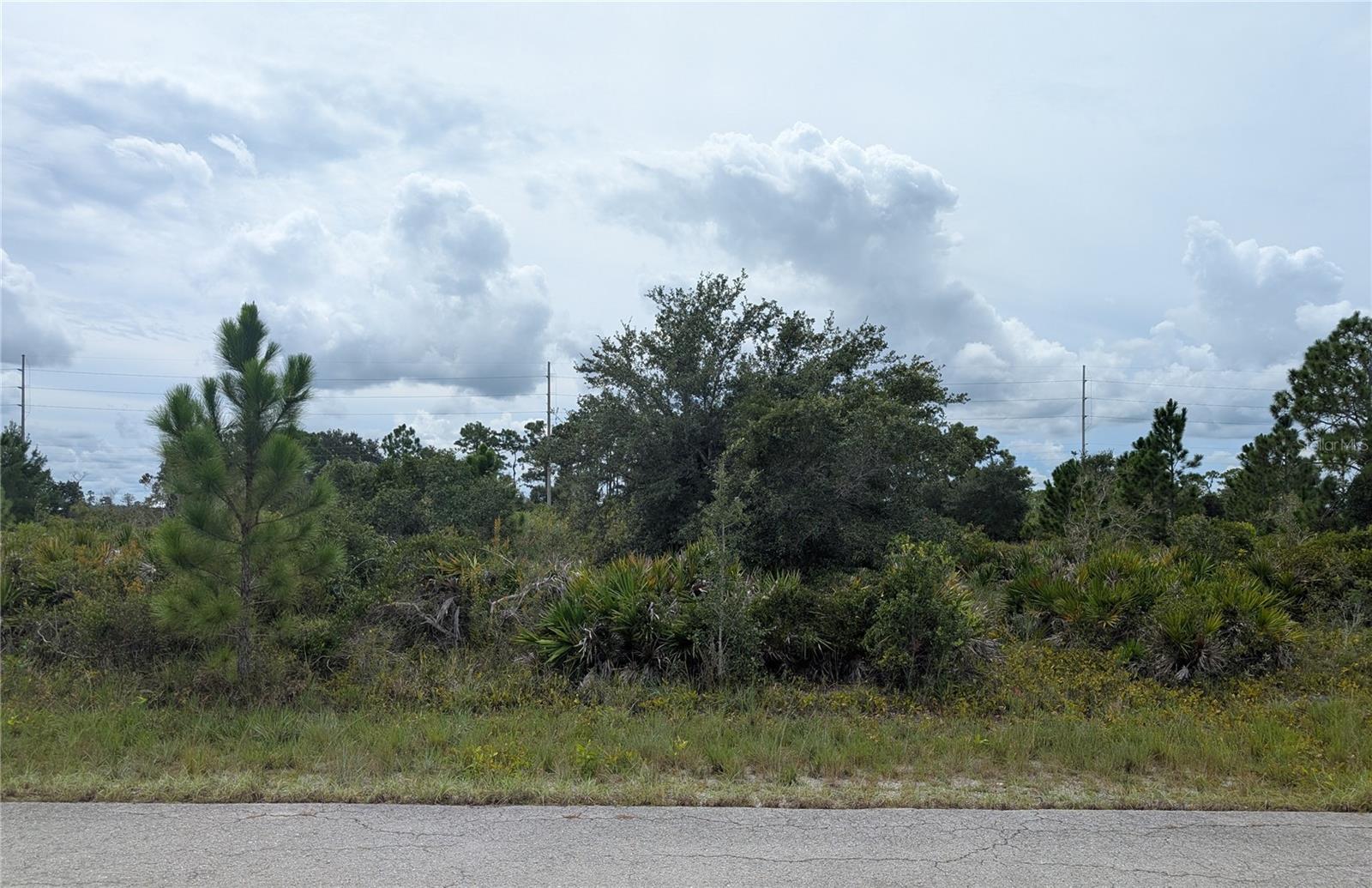 This spacious corner lot offers a prime location, providing the ideal setting for your future home. With ample frontage and easy access to nearby roads, the property combines convenience and flexibility for a variety of residential building plans.
Zoned for residential use, the lot allows for single-family construction in accordance with local county guidelines. The corner positioning offers added design potential and accessibility. Utilities are available nearby.
Whether you’re planning a custom build or holding as an investment, this lot presents a valuable opportunity in one of Florida’s small towns with many fishing lakes.