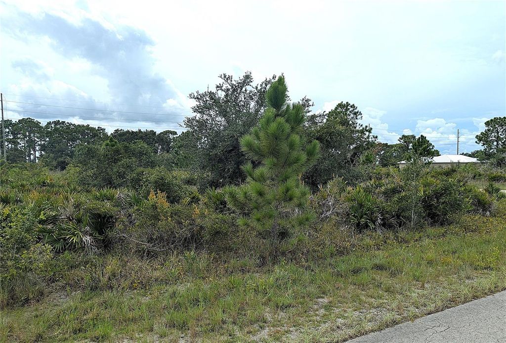 Photo of 3430 Gerber Avenue, Lake Placid, FL 33852 (MLS # L4955661)