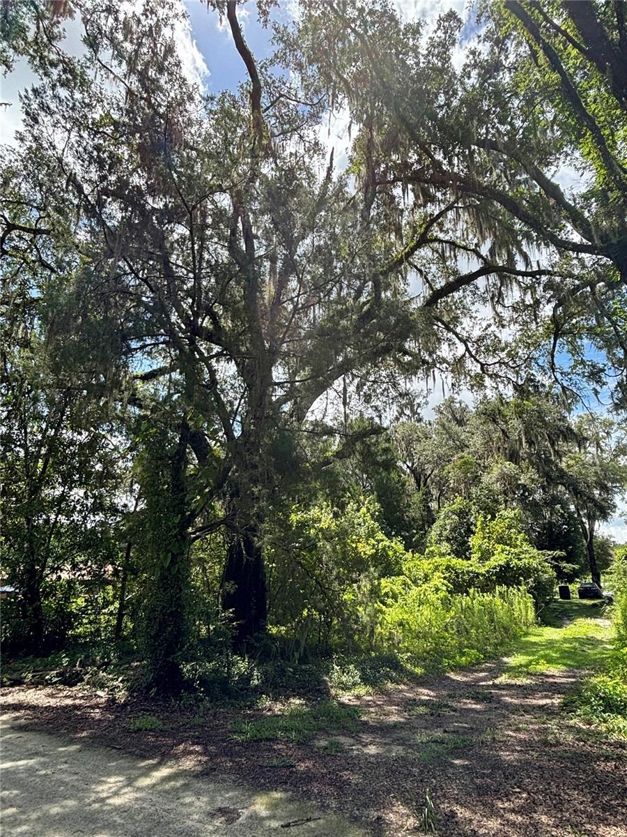 Lot 28 SW 109 LANE