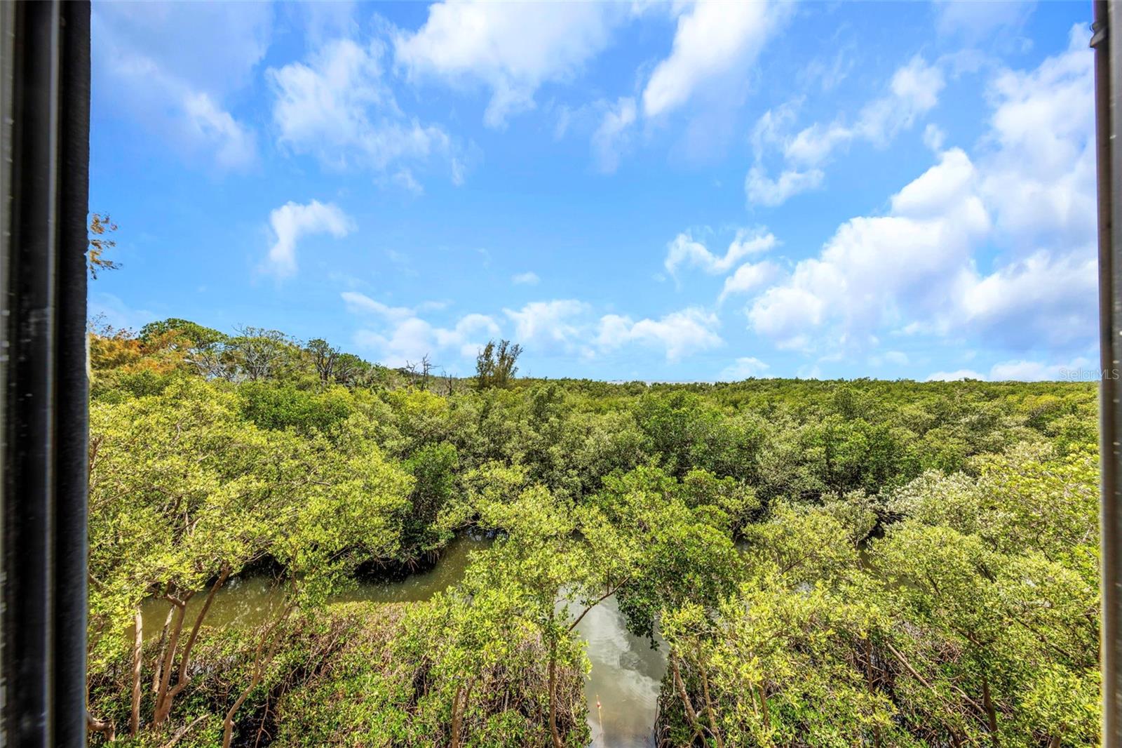 ISLAND CLUB OF TARPON - Residential