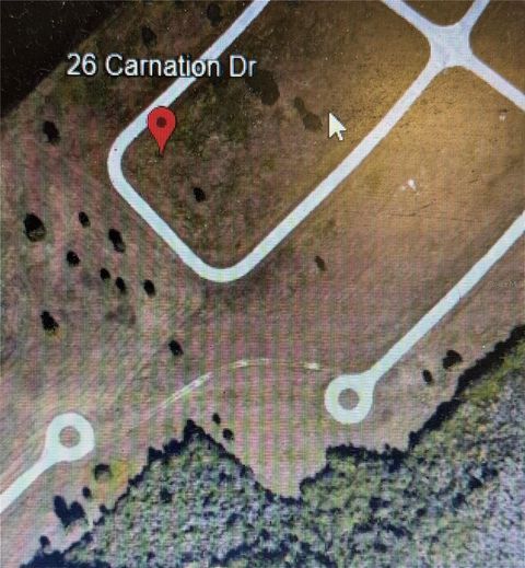 26 CARNATION DRIVE PLACIDA FL 33946