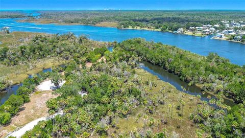 Tiny photo for 11441 W Brown Pelican Path, Crystal River, FL 34429 (MLS # GC541671)