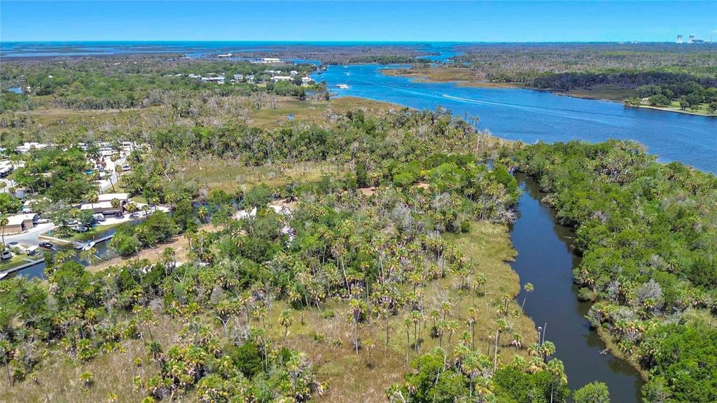 Photo of 11441 W Brown Pelican Path, Crystal River, FL 34429 (MLS # GC541671)