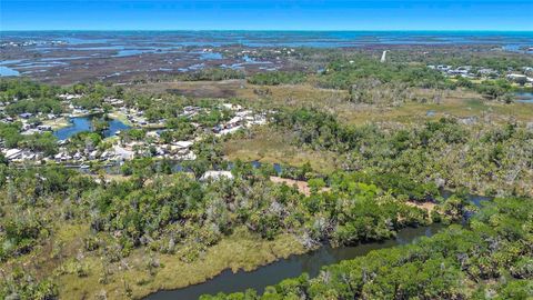 Tiny photo for 11441 W Brown Pelican Path, Crystal River, FL 34429 (MLS # GC541671)