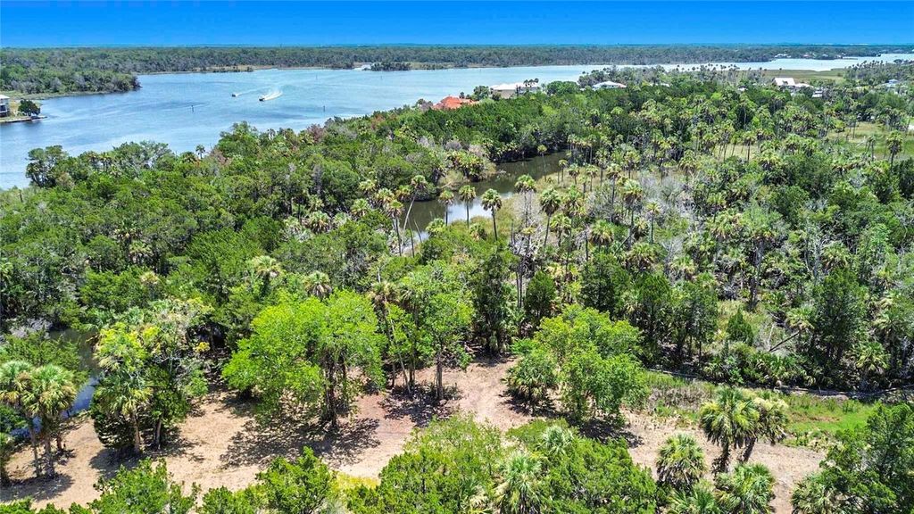 Photo of 11441 W Brown Pelican Path, Crystal River, FL 34429 (MLS # GC541671)