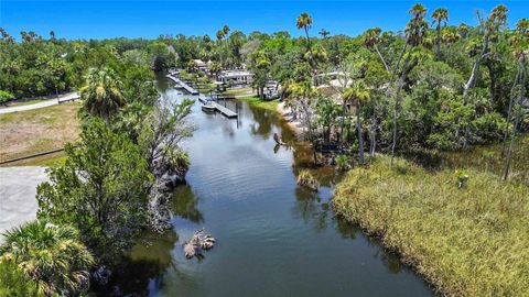 Tiny photo for 11441 W Brown Pelican Path, Crystal River, FL 34429 (MLS # GC541671)