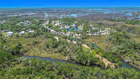 Tiny photo for 11441 W Brown Pelican Path, Crystal River, FL 34429 (MLS # GC541671)