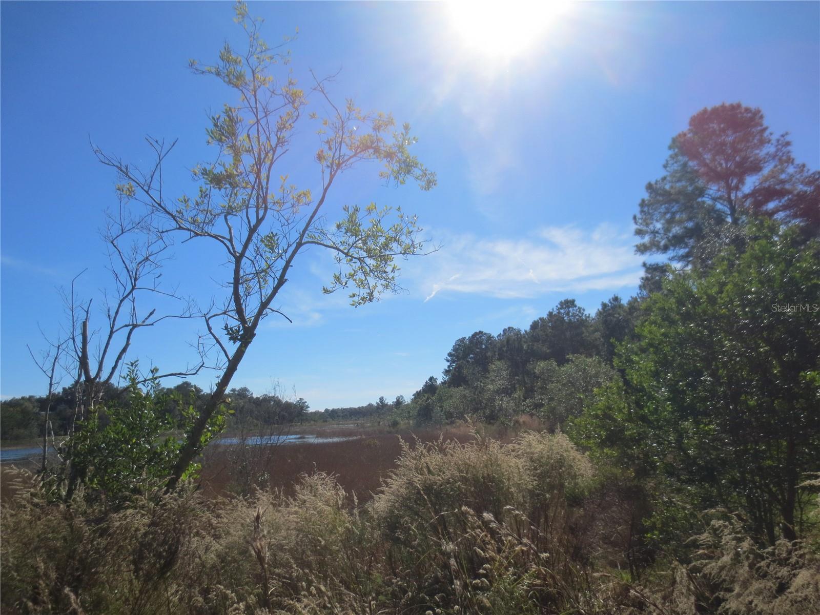 WOODS AND LAKES - Land