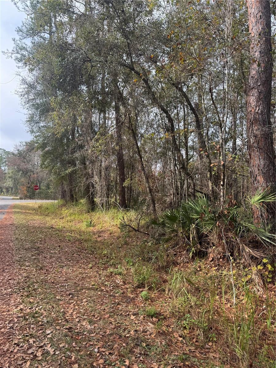 SILVER SPGS SHORES UN 51 - Land