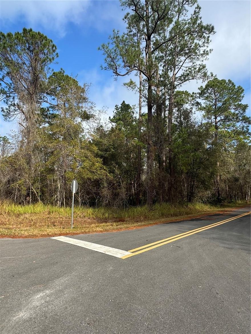 This corner R1 lot is located on a paved road with new construction up and coming throughout the development.  Convenient to local shopping, 27 minutes to downtown Ocala and the Villages, Lockheed Martin is minutes away, 16 minutes to Belleview and 12 minutes to Lake Weir for water sports. Minutes from Lockheed Martin