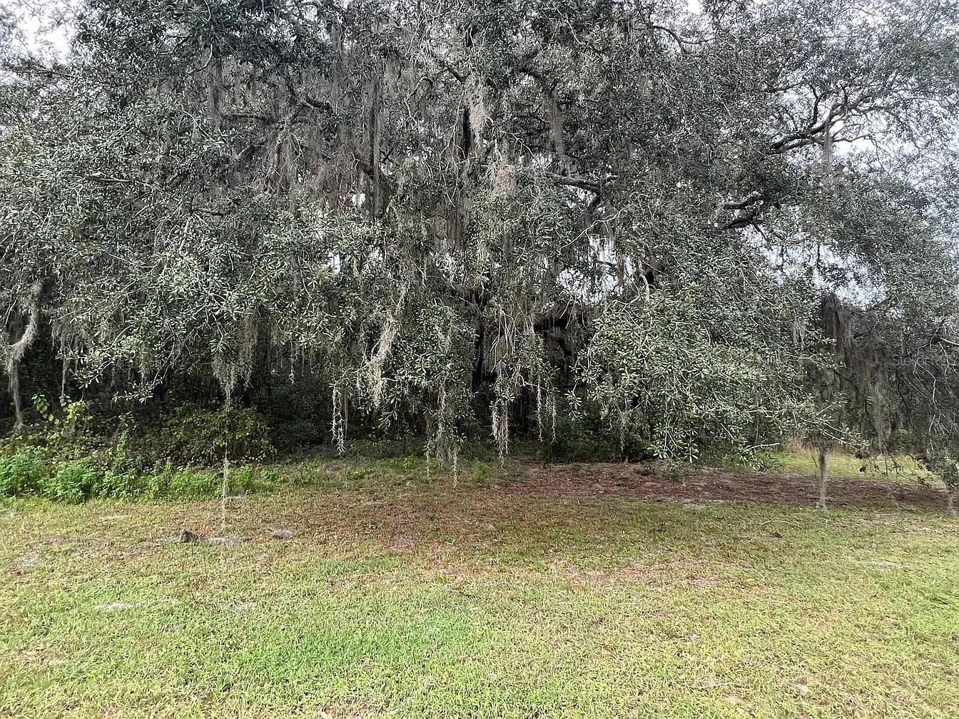 27751 VIRGIL HAWKINS CIRCLE