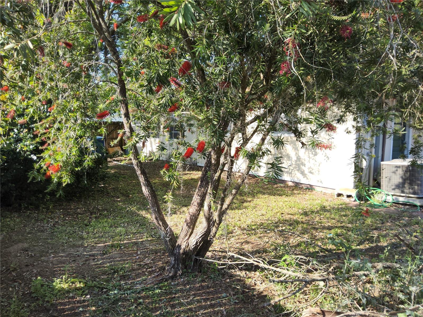 RIDGE MANOR WEST - Residential