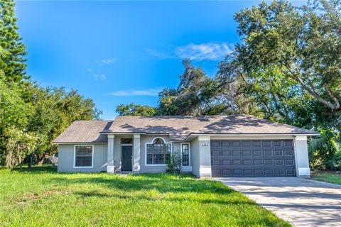 A home in DELTONA