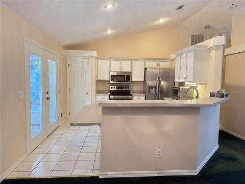 Tiny photo for 4262 NE 35th Avenue Road, Ocala, FL 34479 (MLS # OM724430)