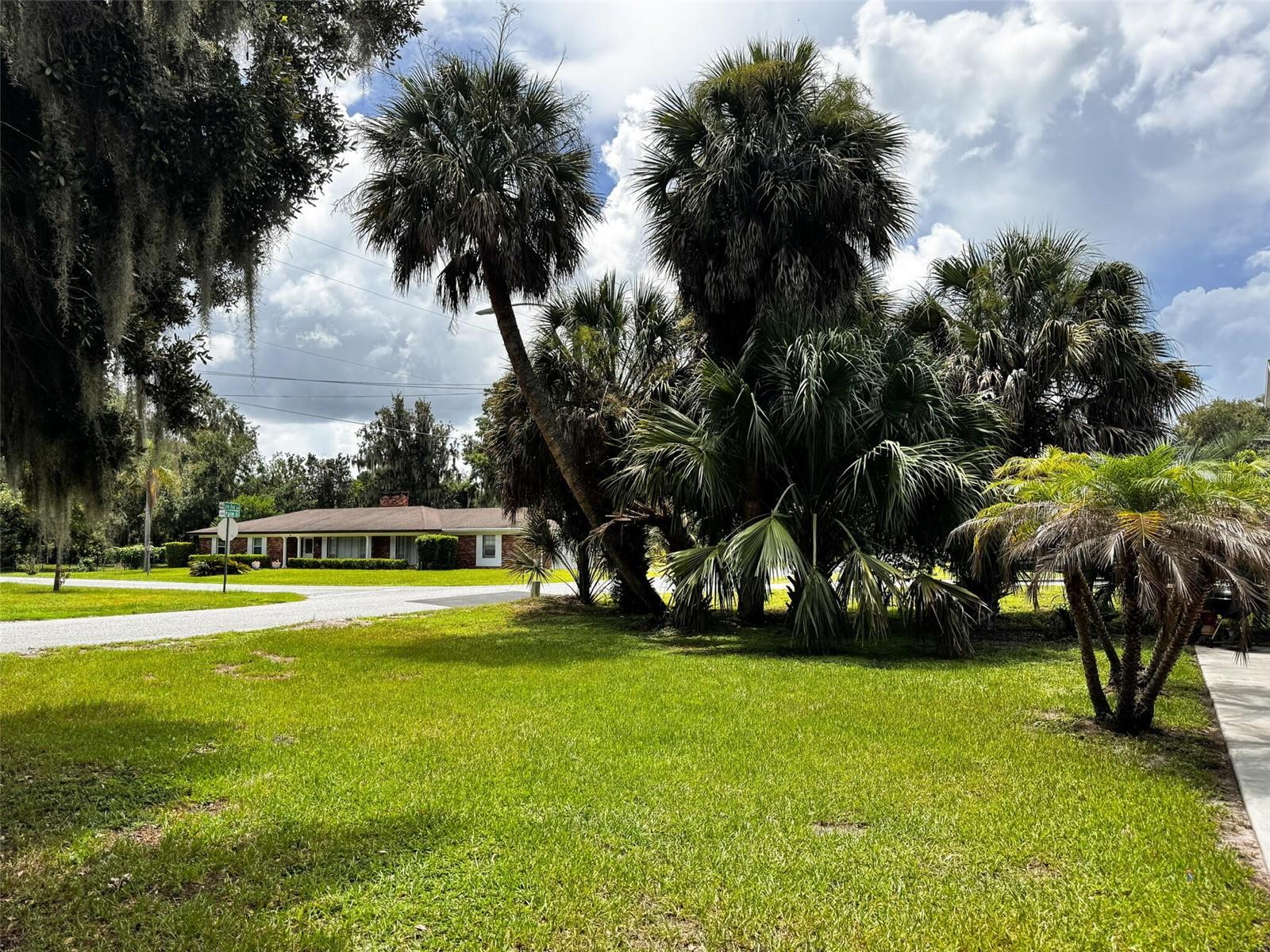 46 PALM DRIVE