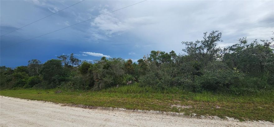 - LARGE, BEAUTIFUL 1.14 ACRES OF LAND IN LAKE PLACID.

- UNDEVELOPED AND READY FOR YOU TO BUILD YOUR DREAM HOME

- LOT IS VISIBLE AND ACCESSIBLE FROM THE ROAD (CUMBERLAND STREET)

- SAFE, SECLUDED, AND QUIET STREET IN LAKE PLACID

-