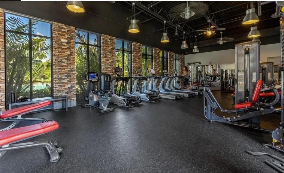 FESTIVAL PH - Residential Lease