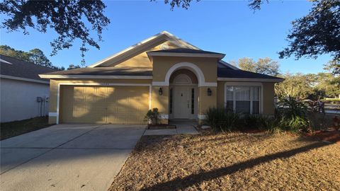 Photo of 10544 Egret Haven Lane, Riverview, FL 33578 (MLS # TB8473242)