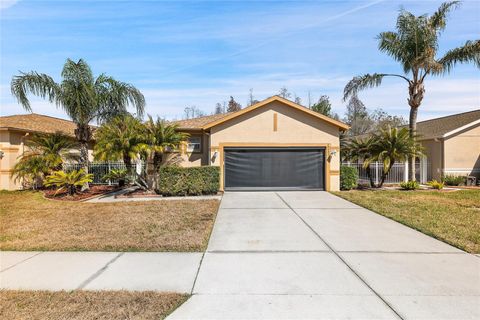 Photo of 20907 Diamonte Drive, Land O Lakes, FL 34637 (MLS # W7883246)