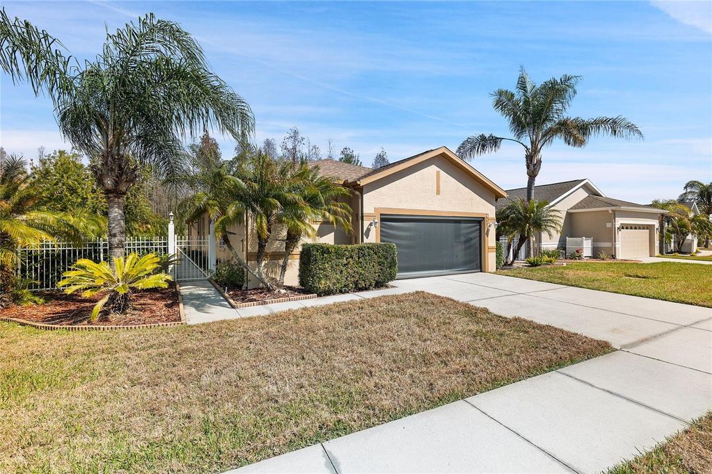 Photo of 20907 Diamonte Drive, Land O Lakes, FL 34637 (MLS # W7883246)
