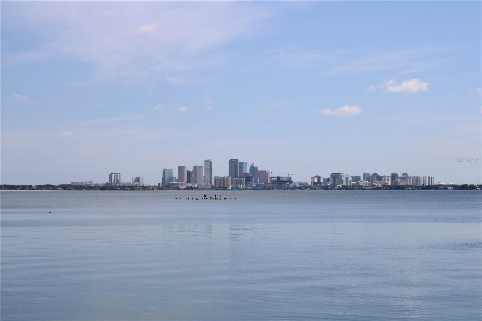 BAYSHORE ON THE BLVD A CO - Residential