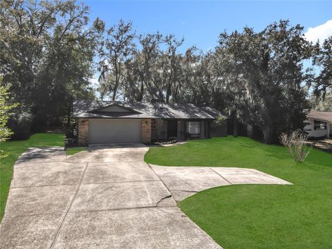 Photo of 131 E Highbanks Road, Debary, FL 32713 (MLS # O6381084)